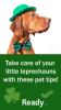 A dog wearing a green hat and bowtie. Take care of your little leprechauns with these pet tips.